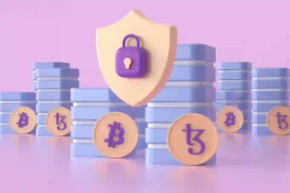 Security Features of SAVOWallet